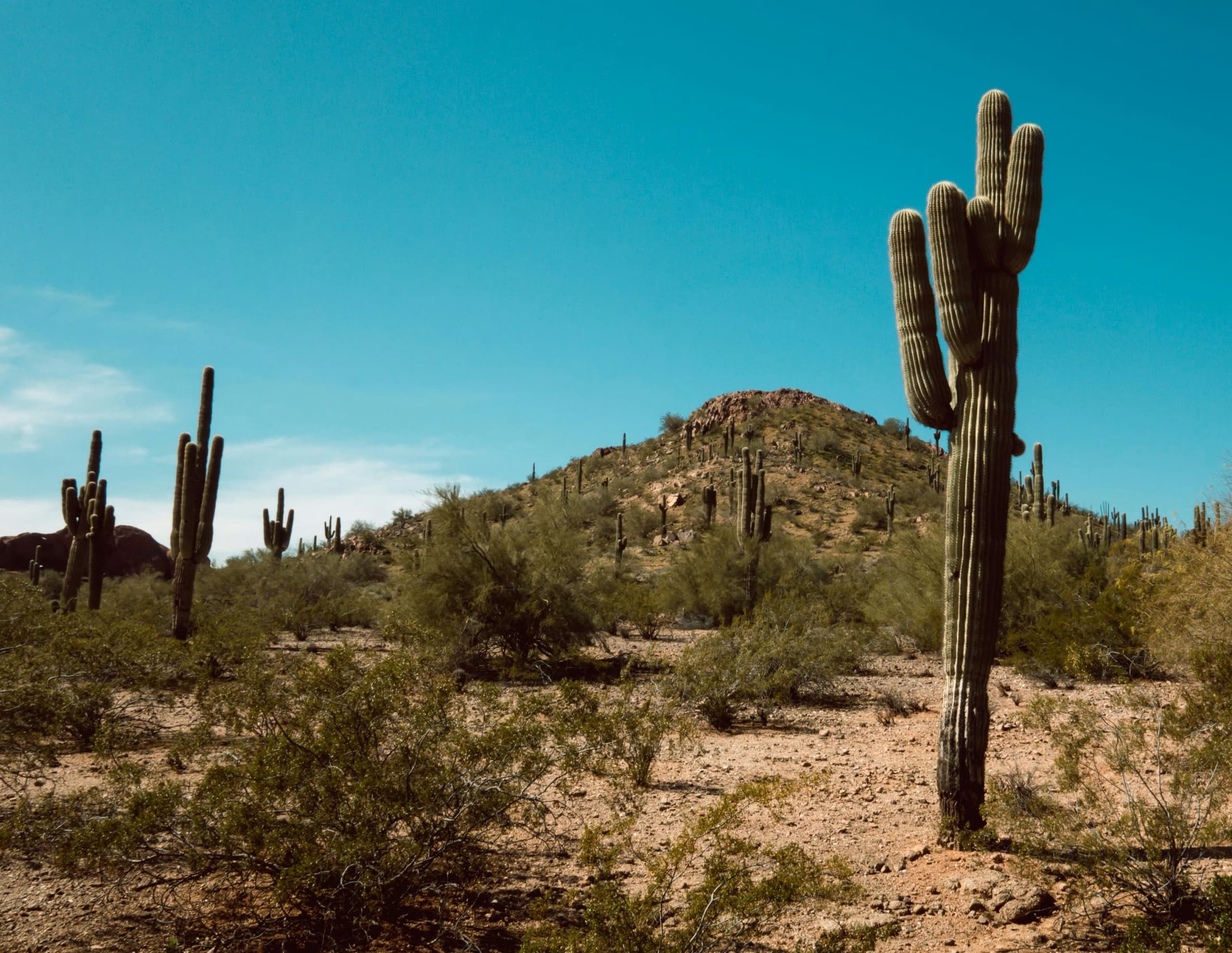 Arizona Drug and Alcohol Interventions