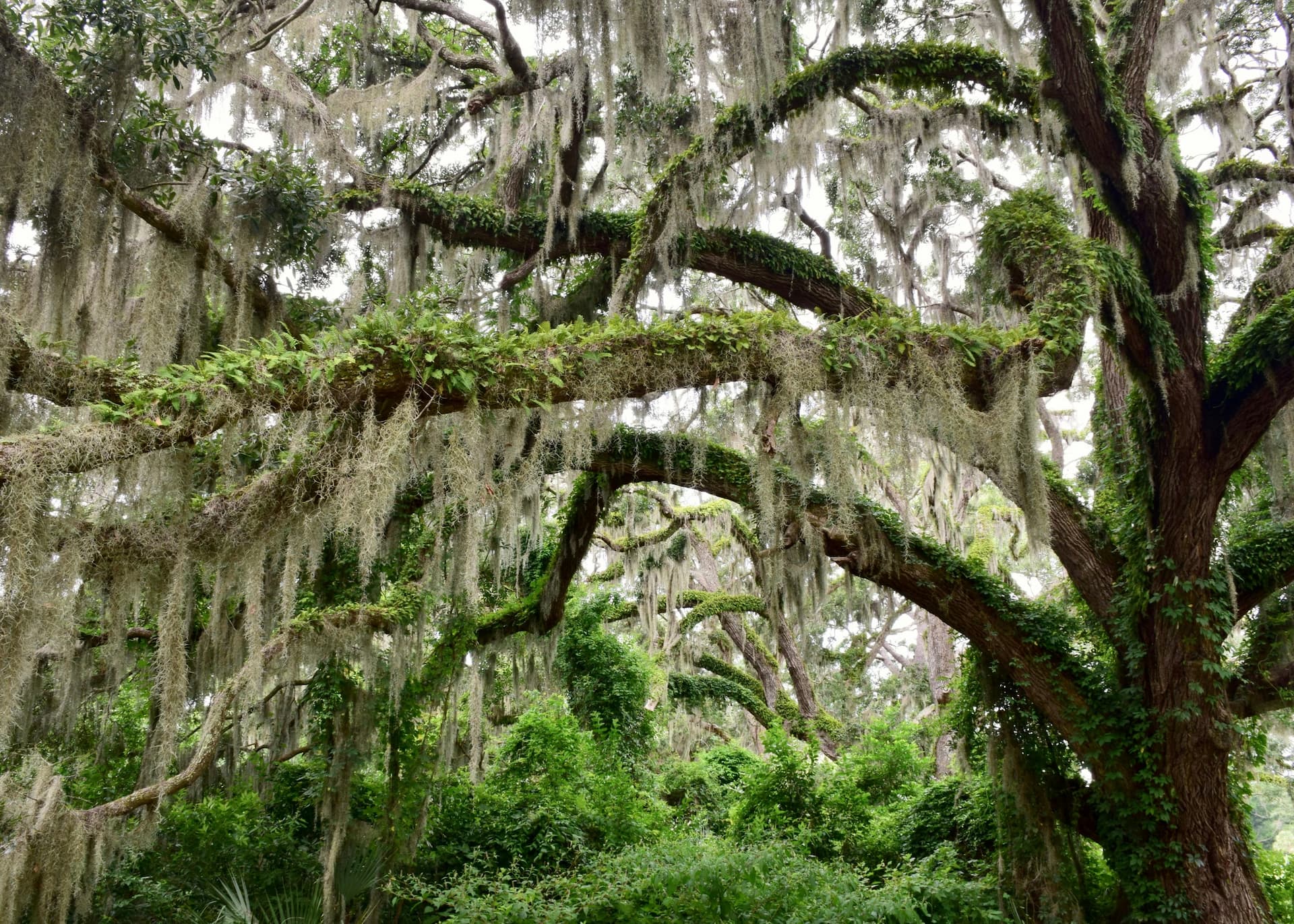 South Carolina Drug and Alcohol Interventions